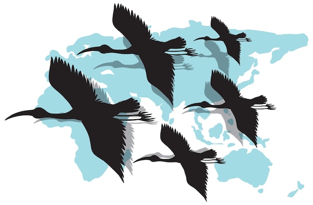 Free Vector silhouette heron birds flying