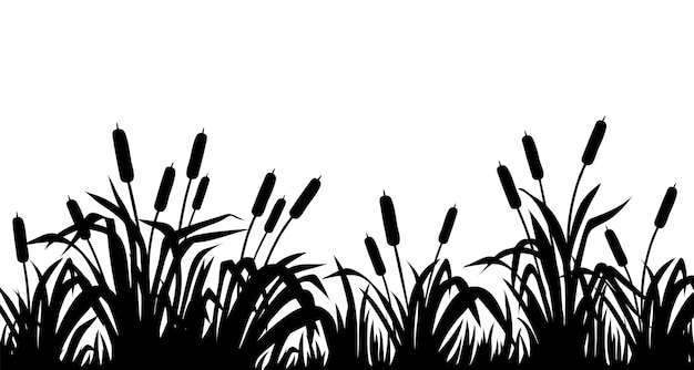 Silhouette marsh reeds cattail bulrush grass Isolated border of swamp plants