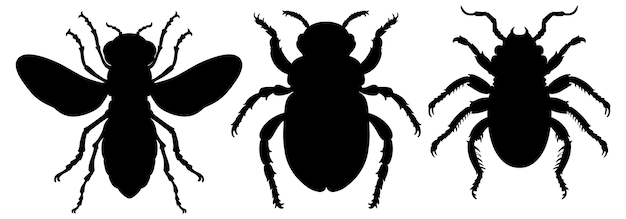 Silhouette of Various Insect Species