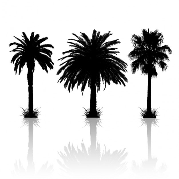 Free Vector silhouettes of 3 different palm trees with reflections