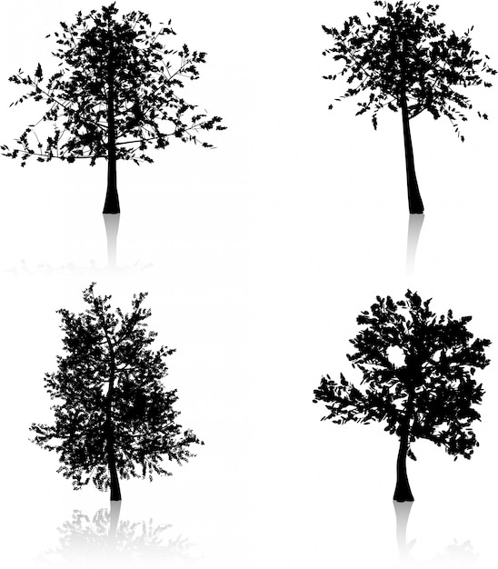 Free vector silhouettes of autumn trees