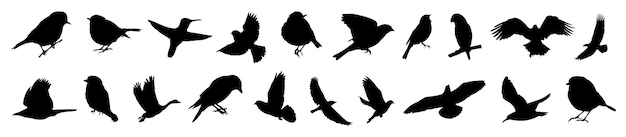 Silhouettes of birds different pack of bird silhouettes