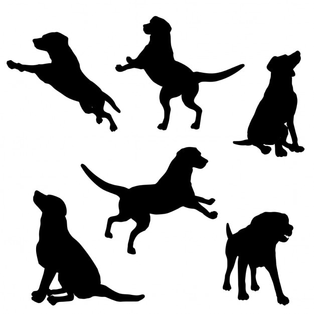 Free Vector silhouettes of a dog