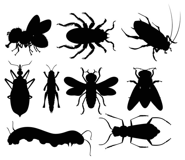 Silhouettes of Various Insects Collection