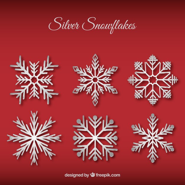 Silver snowflakes collection