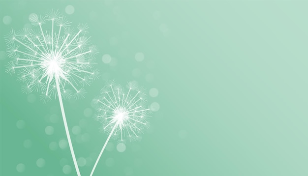 Free Vector simple dandelion flower seeds background design