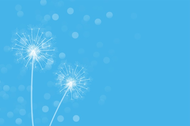 Free Vector simple dandelion flower seeds in blue bokeh background vector