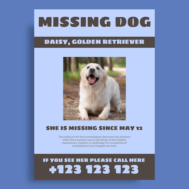 Simple duotone missing dog daisy poster