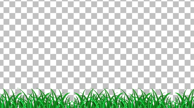 Simple grass field on transparent background