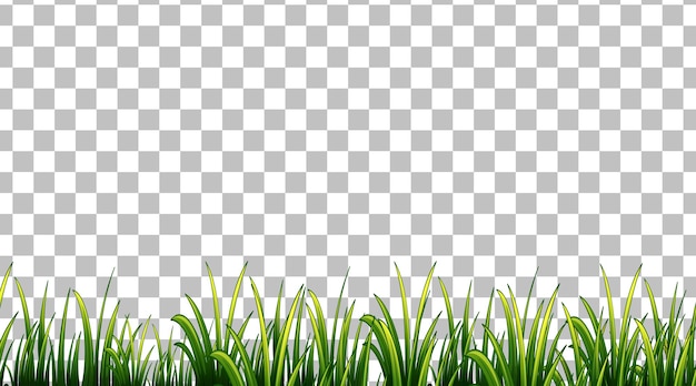 Free Vector simple grass field on transparent background