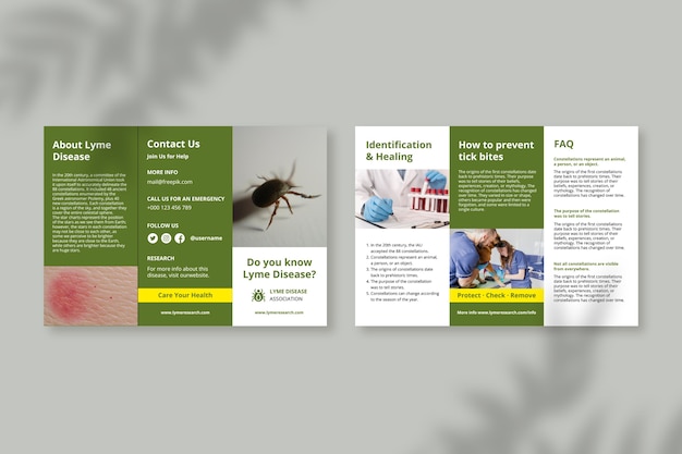 Simple lyme disease information trifold brochure