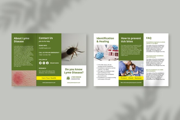 Simple lyme disease information trifold brochure