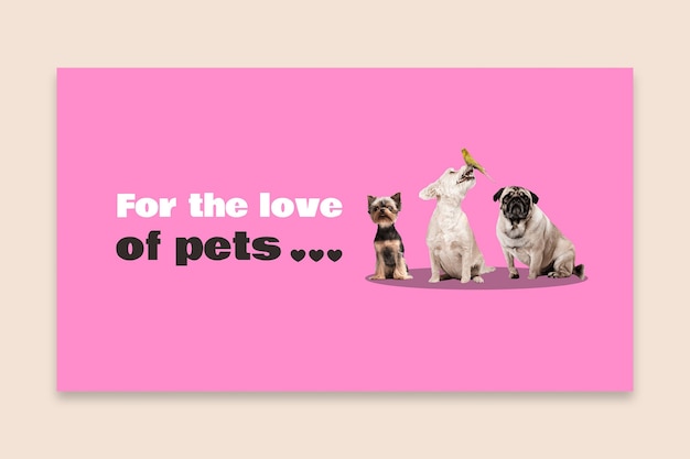 Simple modern pet lovers pink discord banner