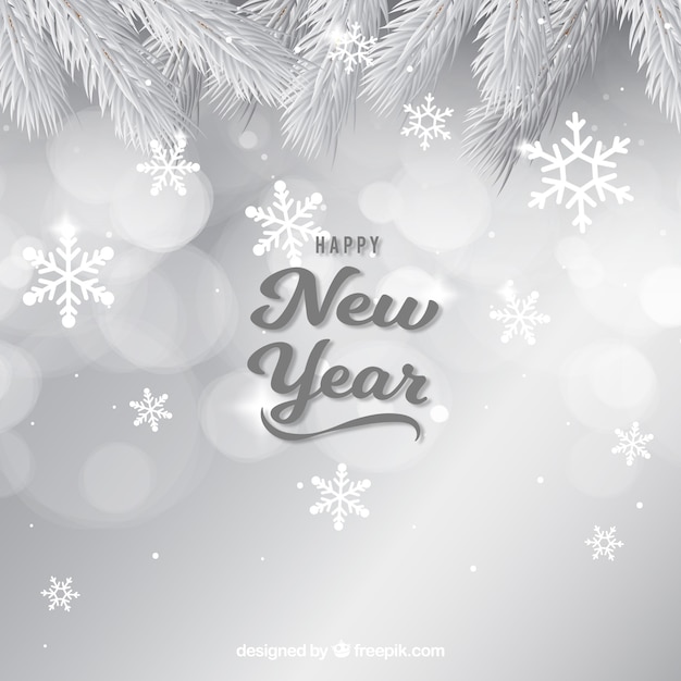 Simple silver new year background