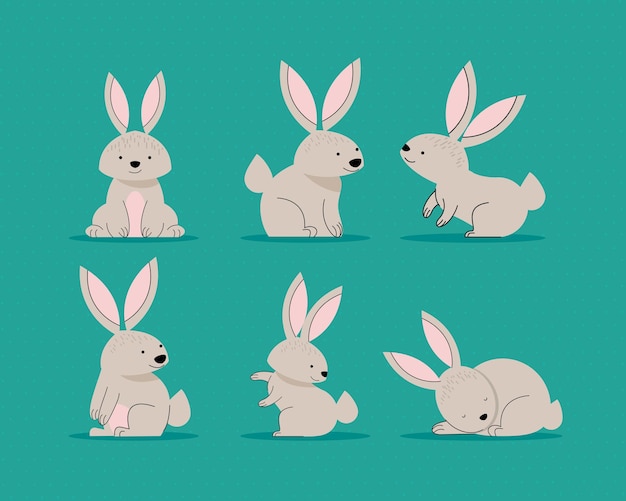 Six cute beige rabbits