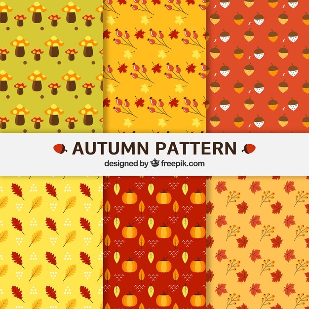 Six cute patterns with autumn leaves