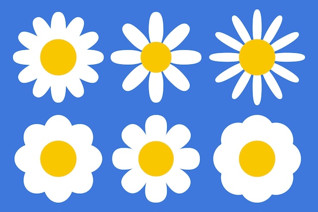 Six Daisy Flowers Flat Style