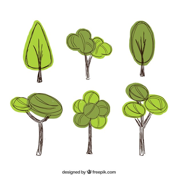 Six hand drawn trees