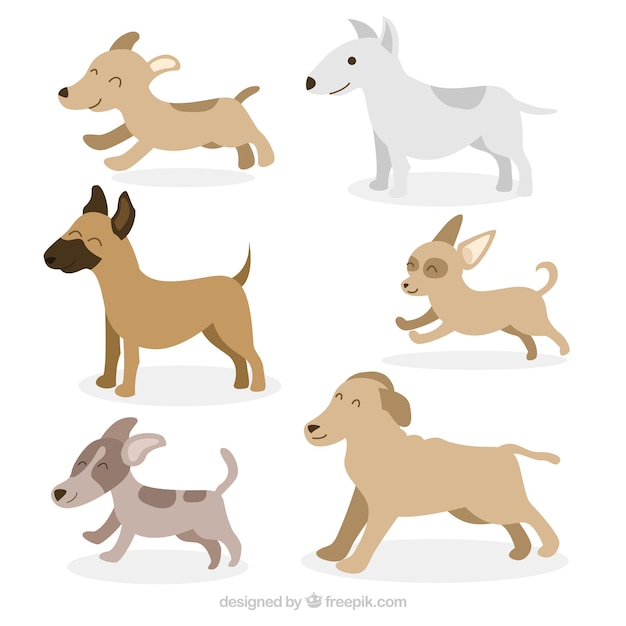 Free vector six profile dogs in flat design