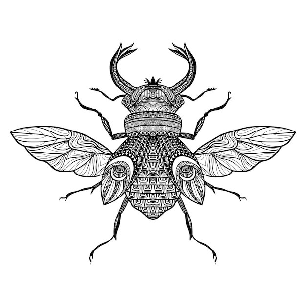 Free Vector sketch decorative bug