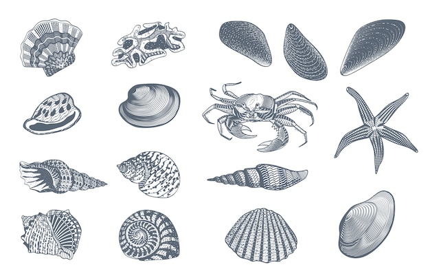 Free Vector sketch ocean nature set