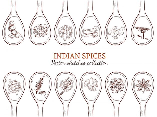 Free Vector sketch organic indian spices set