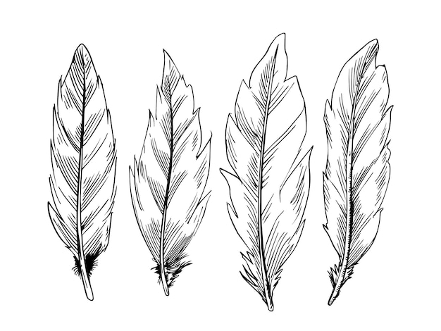 Free vector sketch style line art decorative feather design set