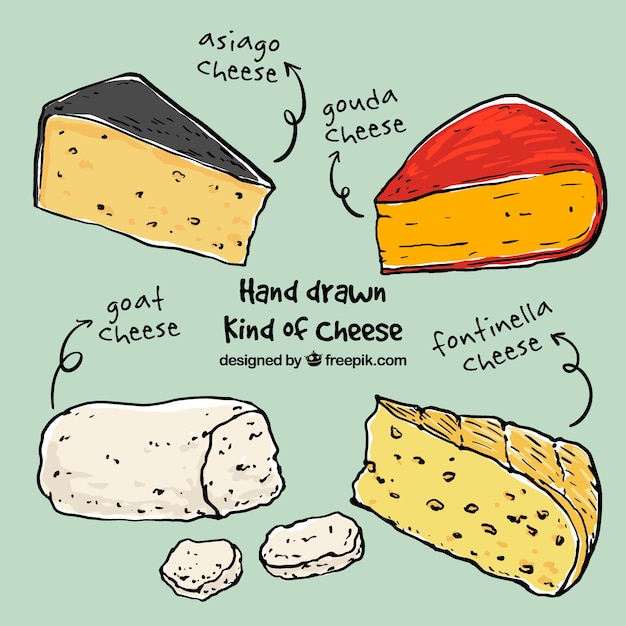 Sketches different cheeses 