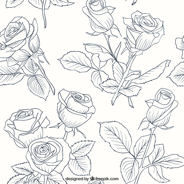 Free Vector sketches roses pattern