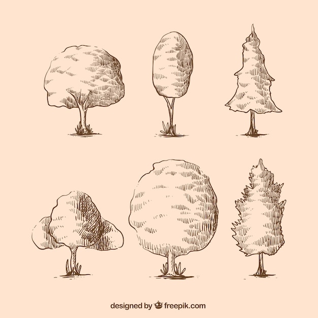 Free vector sketches of trees pack