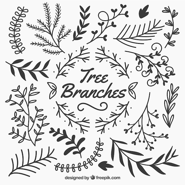 Free vector sketchy tree branches