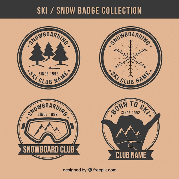 Ski badge collection