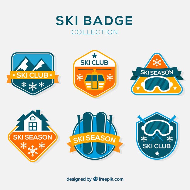 Ski badge collection