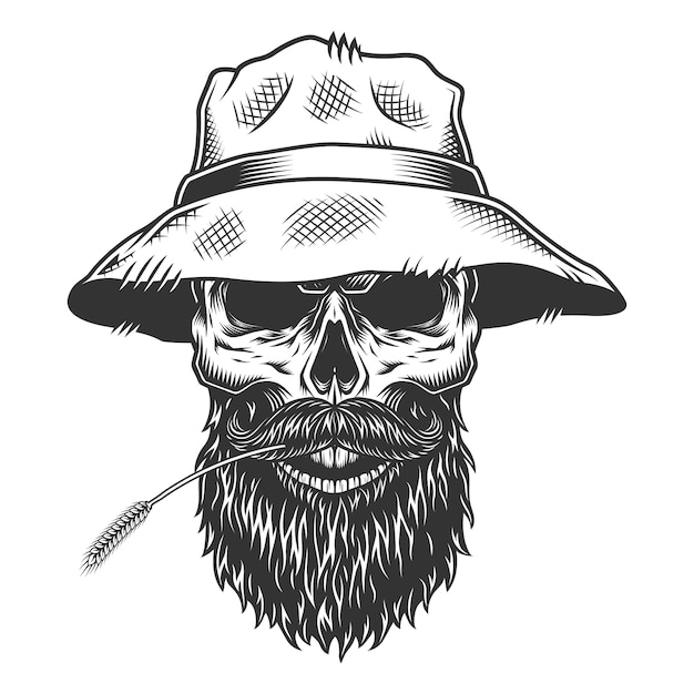 Skull in the panama hat