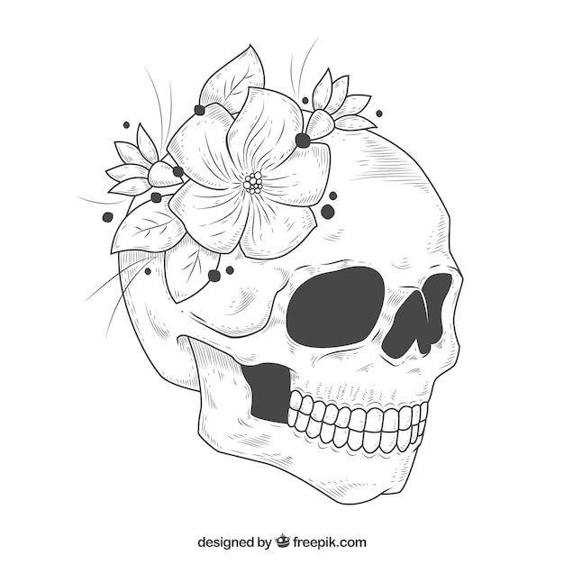 Skull with hand drawn decorative flowers