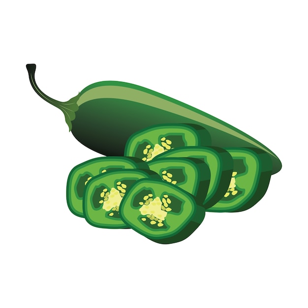 Slices of raw jalapeno pepper. vector illustration