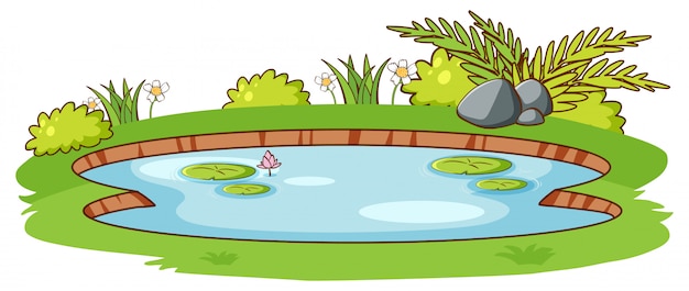 Small pond with green grass on white background