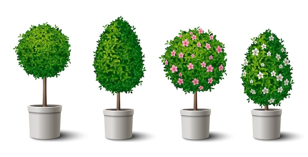 Free Vector small shaped green trees in pots with and without flowers realistic set isolated vector illustration