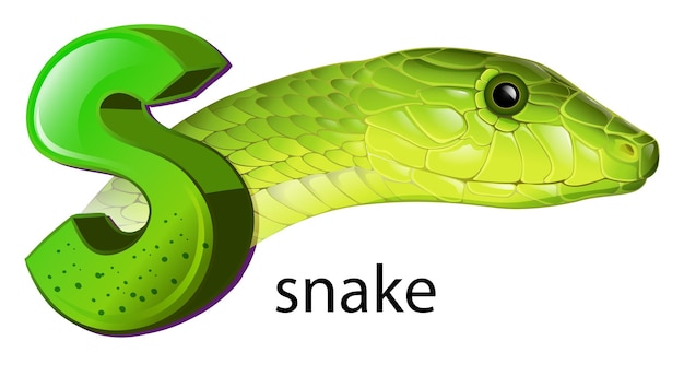 Free Vector a snake and a letter s