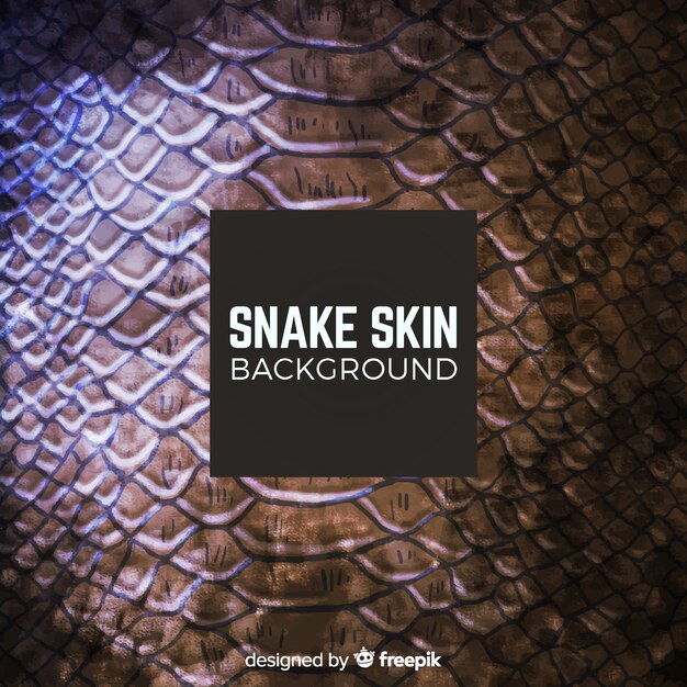 Snake skin background