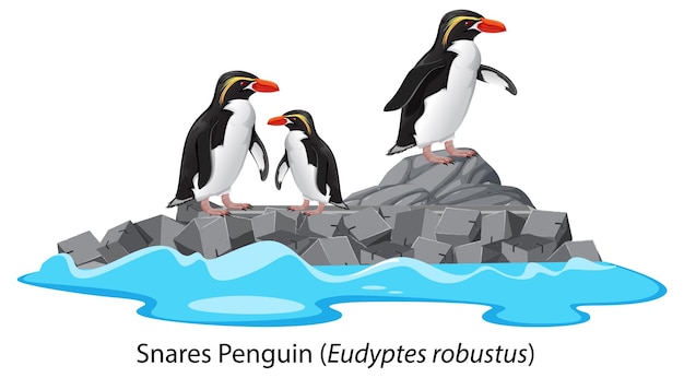 Free Vector snares penguin cartoon on the rock