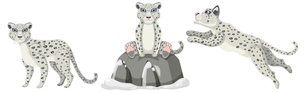 Free Vector snow leopard vector collection