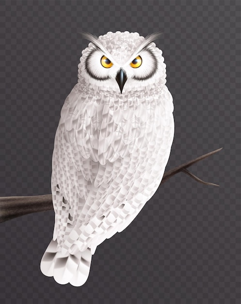 Free vector snowy owl realistic composition with isolated image of bird with white colored feathers on transparent background vector illustration