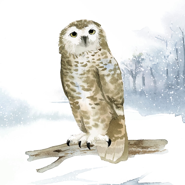 Free Vector snowy owl in winter watercolor style vector