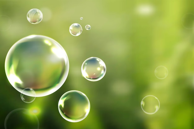 Soap bubbles floating in the green background vector