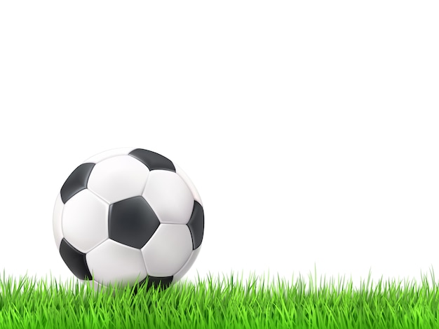 Free Vector soccer ball grass background