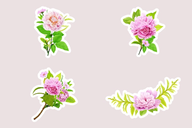 Free vector soft roses stickers collection illustration