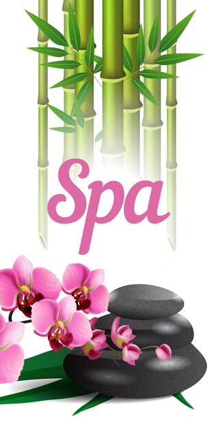 Spa lettering, bamboo, stones and orchid. Spa salon advertising poster