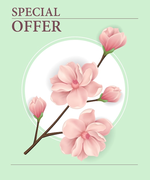 Free Vector special offer poster with pink blooming cherry tree twig in round frame