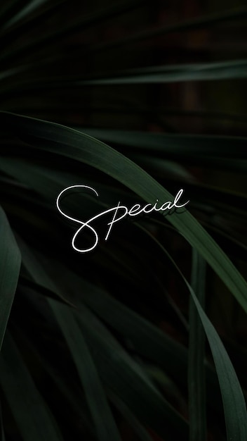 Free Vector special text on a leafy background mobile wallpaper vector